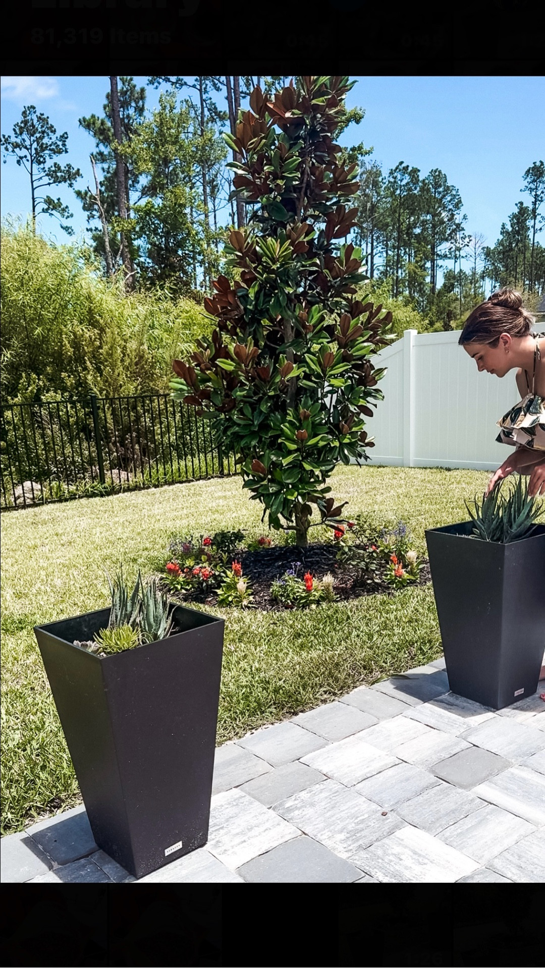 These little succulents were barely holding on, missing arms, soft stems, and showing all the signs of stress I’ve definitely over loved them in the past. but today was all about giving them a fresh, healing reset.

I repotted each one using Sol Soils Succulent Gritty Mix, which gives them that dry, airy drainage they crave—no more soggy roots. Then I treated them with a dose of Sol Soils Recovery to help repair and strengthen their root systems. Think of it as rehab for struggling plants 

If your succulents are looking a little sad too, it might not be too late. The right mix and a little TLC can work wonders

Everything I used is linked here—your future thriving plants will thank you!

#SucculentCare #SolSoils #PlantRecovery #LuxeHomeVibes #LTKhome #SoftLuxuryLiving #HouseplantMama #ad


#LTKFindsUnder50 #LTKStyleTip #LTKBeauty