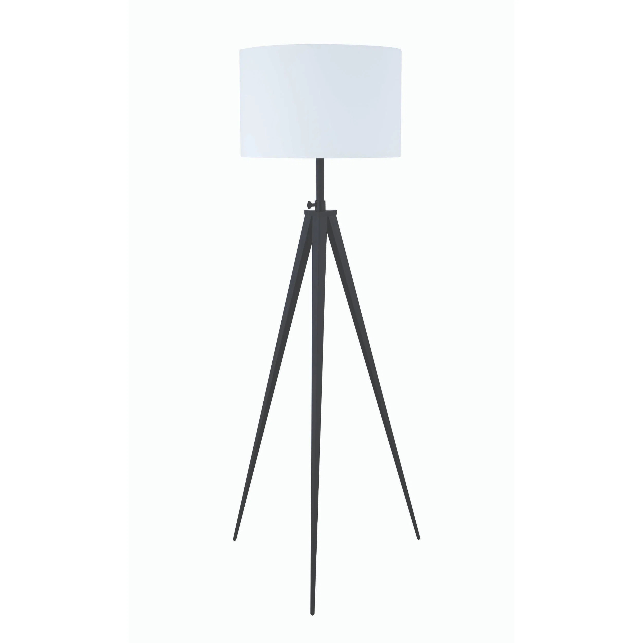 Ballybogy 60" Tripod Floor Lamp | Wayfair North America