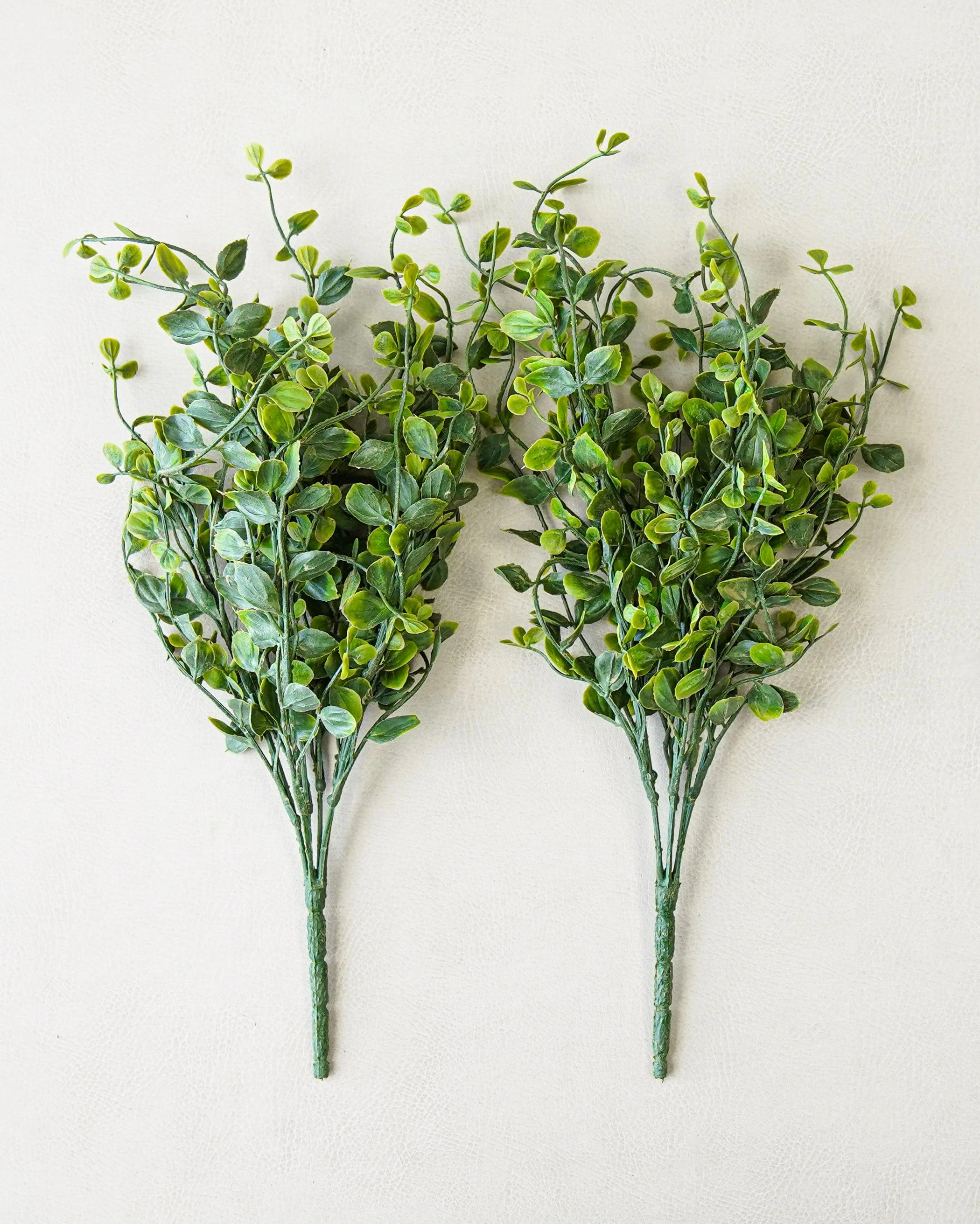Whisperleaf Bush Bundle | Two Stems | MJHome