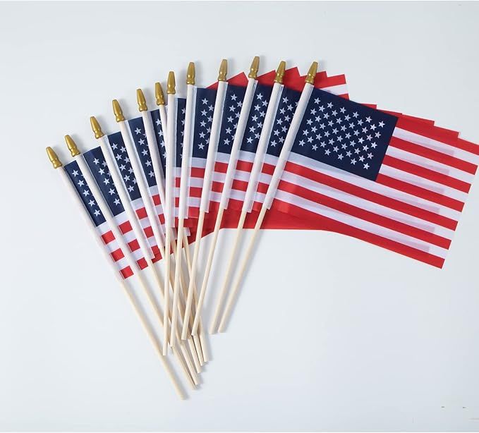 Small American 5x8 Inch Flags, Mini Ameirican Flags/Handheld American Flag/US Flag, for 4th of Ju... | Amazon (US)