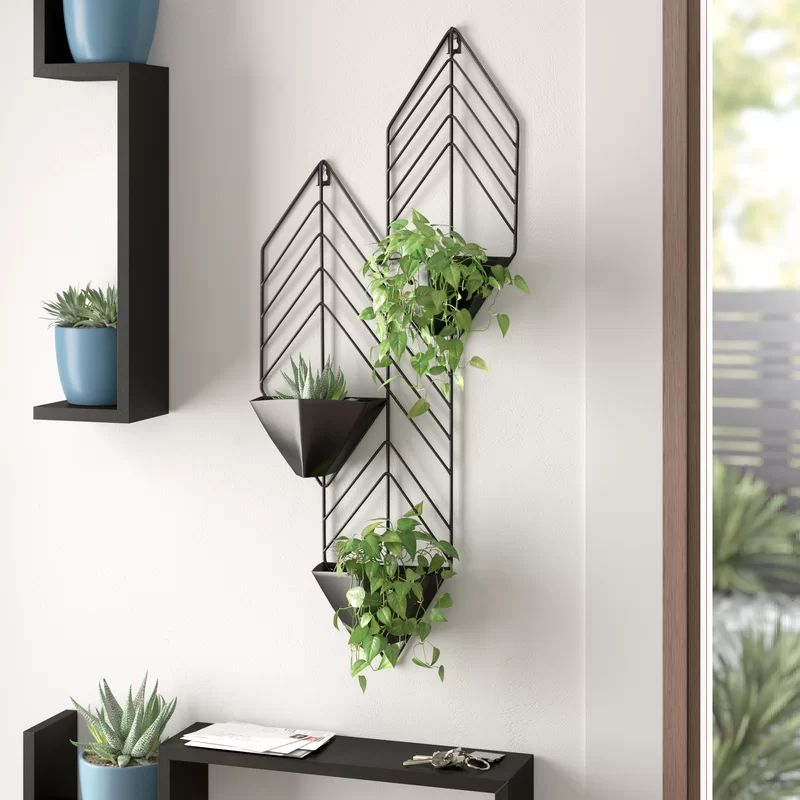 Katya Iron Wall Planter | Wayfair North America