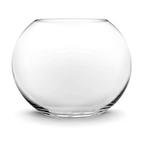 CYS EXCEL Glass Bubble Bowl (H-6" W-8", Approx. 3/4 Gal.) Small Fish Bowl Round Terrarium Vase Globe Flower Centerpiece for Weddings Events Arrangements | Amazon (US)