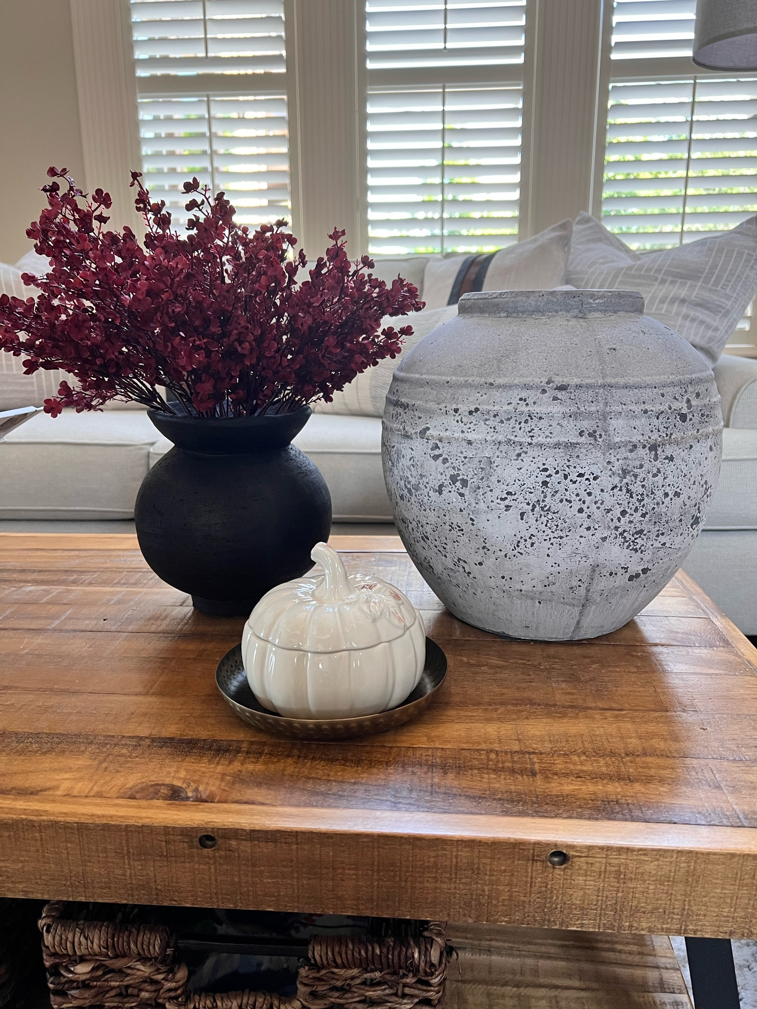I finally pulled out my fall decor this wee🍁🍂🐿 