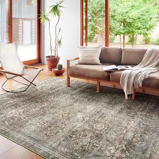 Alexander Home Isabelle Shabby Chic Vintage Distressed Print Area Rug | Bed Bath & Beyond