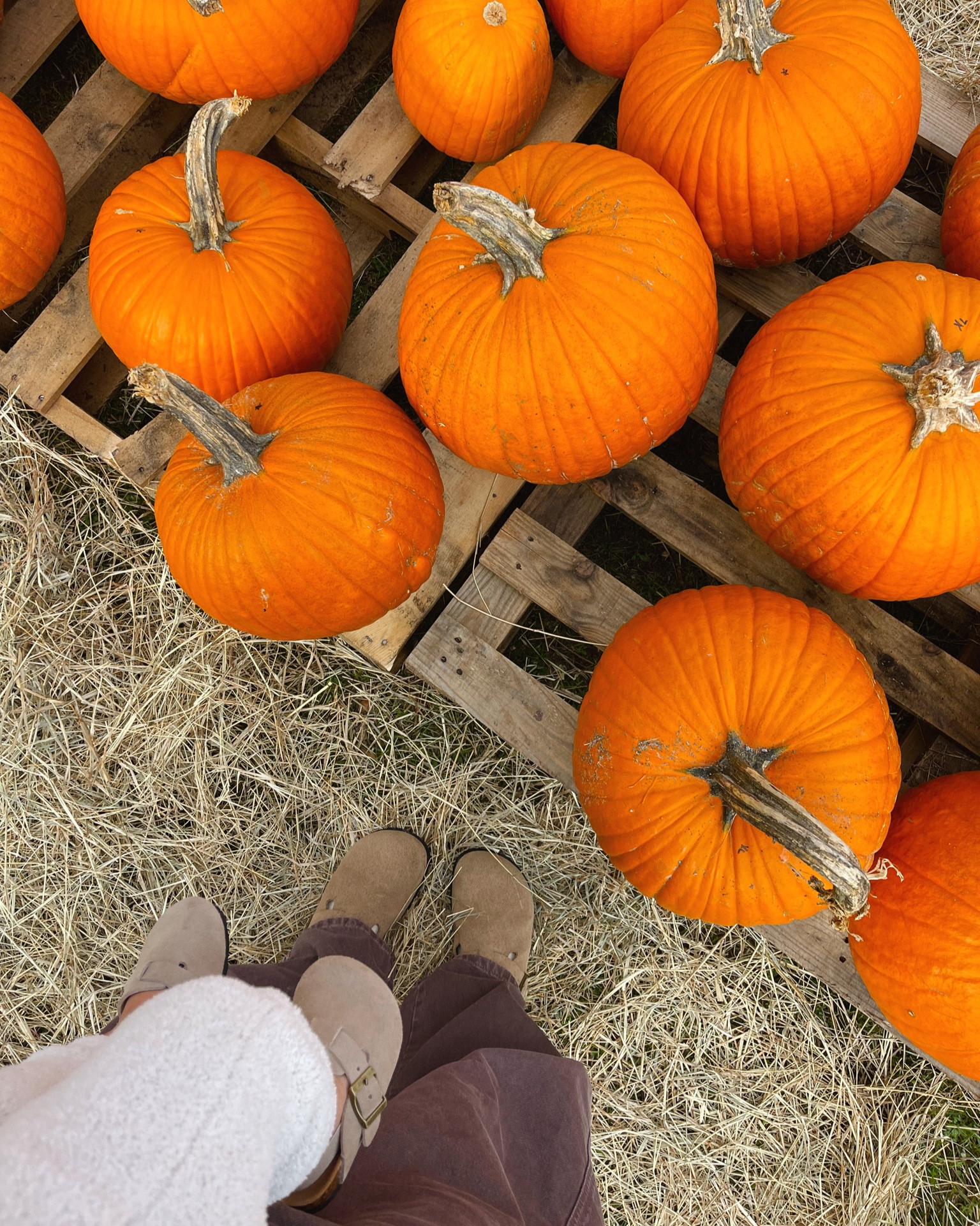 BABY CLOGS! Mommy & me because they match 🤎

#LTKxMadewell #LTKHalloween #LTKGiftGuide