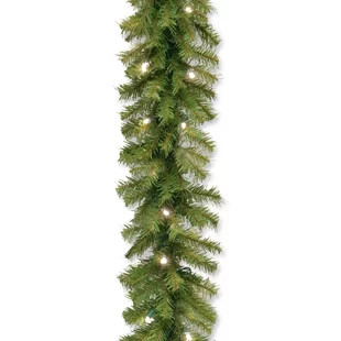 The Holiday Aisle® Fresh Feel Real Pre-Lit Garland with 50 Clear/White Lights | Wayfair North America