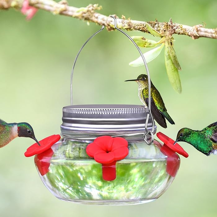 Glass Hummingbird Feeders for Outdoors Hanging, Cute Mason Jar Shape with 4 Silicone Flower Feedi... | Amazon (US)