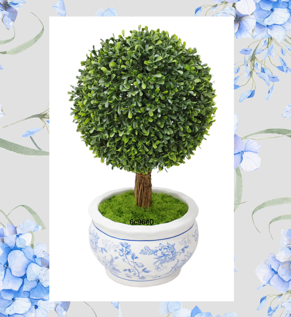 Potted boxwood topiary 

#LTKSeasonal #LTKHome