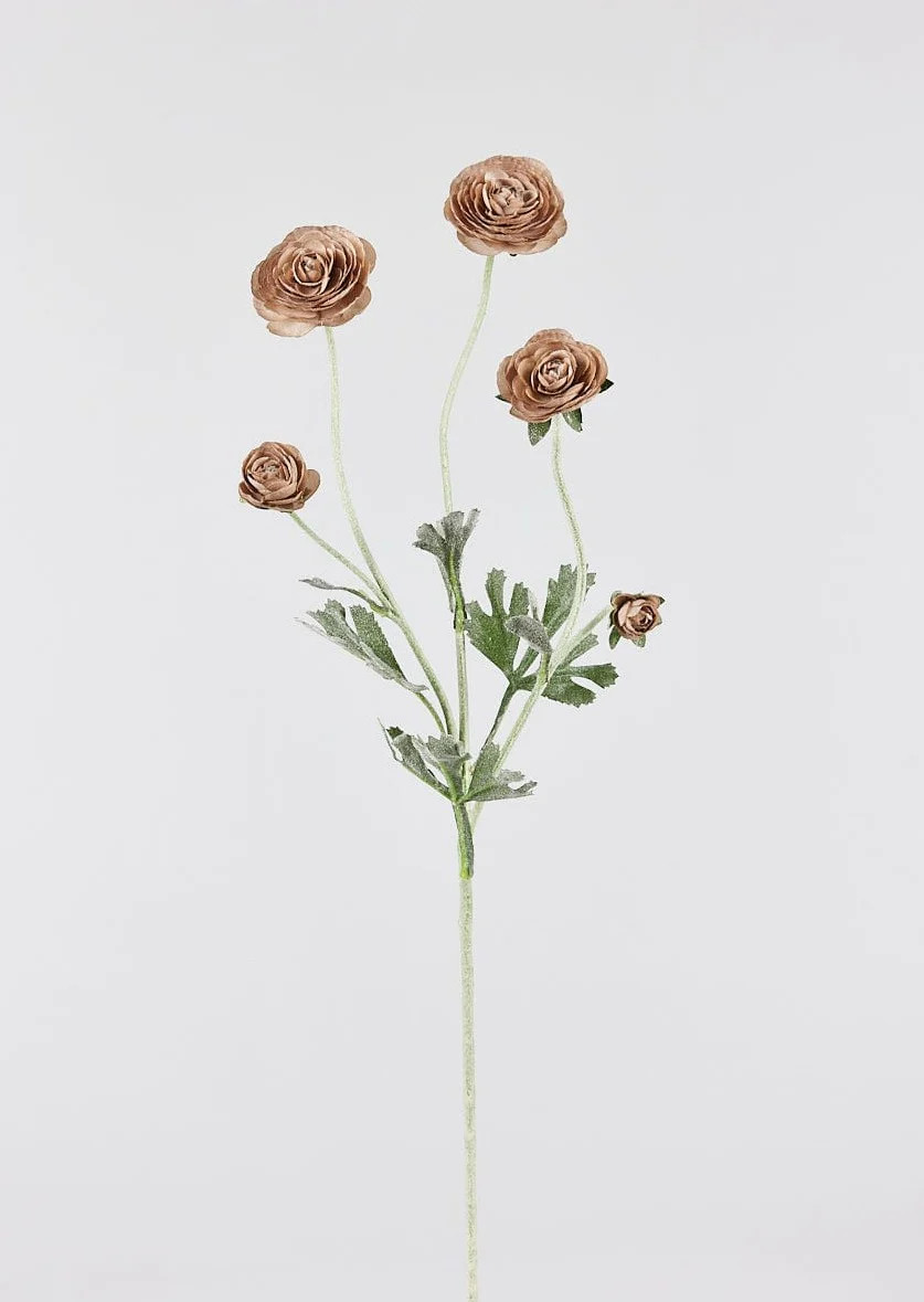 Search: 1 result found for "Taupe Mauve Faux Ranunculus Flowers - 28"" | Afloral