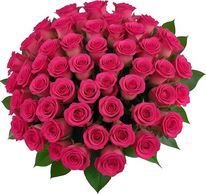 50 Hot Pink Roses | Pre-Book Mother's Day Flowers by Arabella Bouquets | Real Fresh Flowers for D... | Amazon (US)