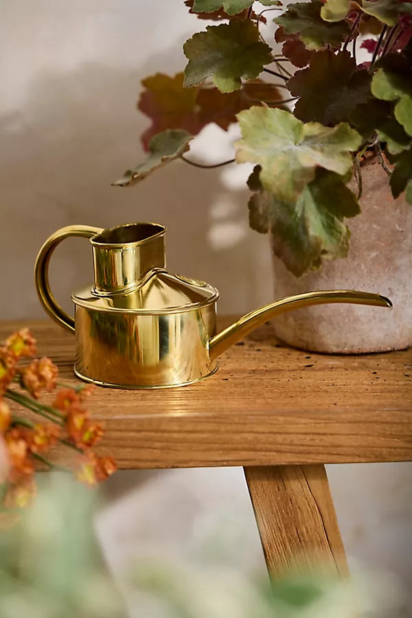 Haws Fazeley Flow Watering Can, Size: XS at Terrain | Terrain