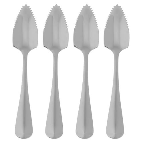 4pcs Stainless Steel Fruit Spoons with Serrated Coffee Stirring Scoop Long Handle Spoon for Grapefruit Dessert Ice Cream | Amazon (US)