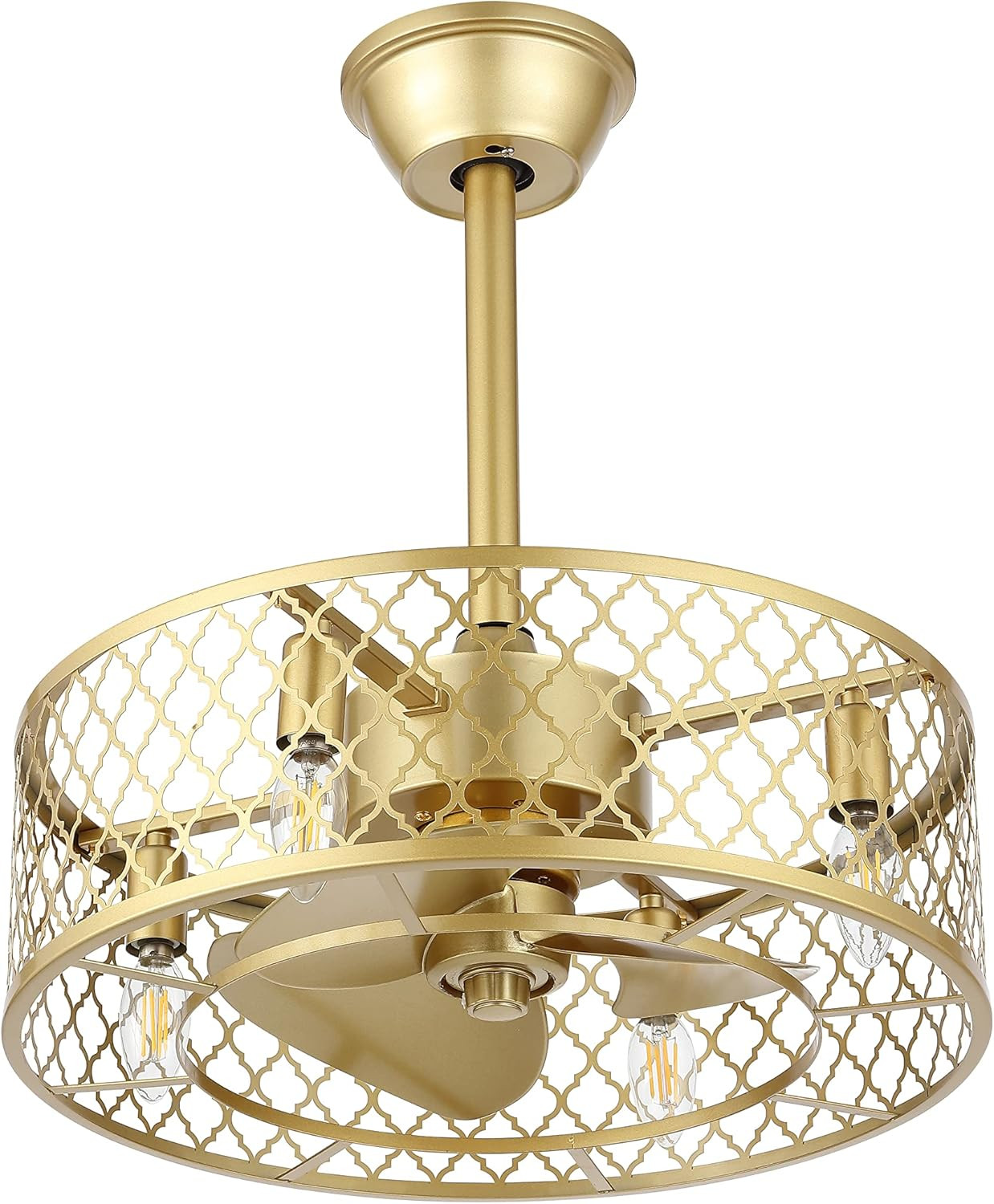 WINGBO 20" Caged Ceiling Fan with Lights and Remote, Gold Industrial Ceiling Fan with Reversible ... | Amazon (US)