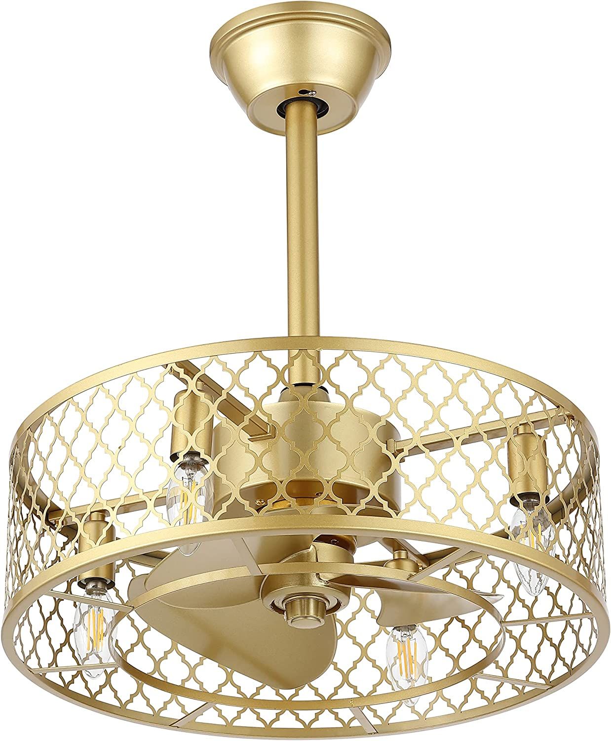 WINGBO 20" Caged Ceiling Fan with Lights and Remote, Gold Industrial Ceiling Fan with Reversible ... | Amazon (US)