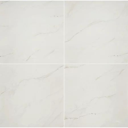 Aria Ice 24 in. x 24 in. Polished Porcelain Floor and Wall Tile (16 sq. ft. / case) | Walmart (US)