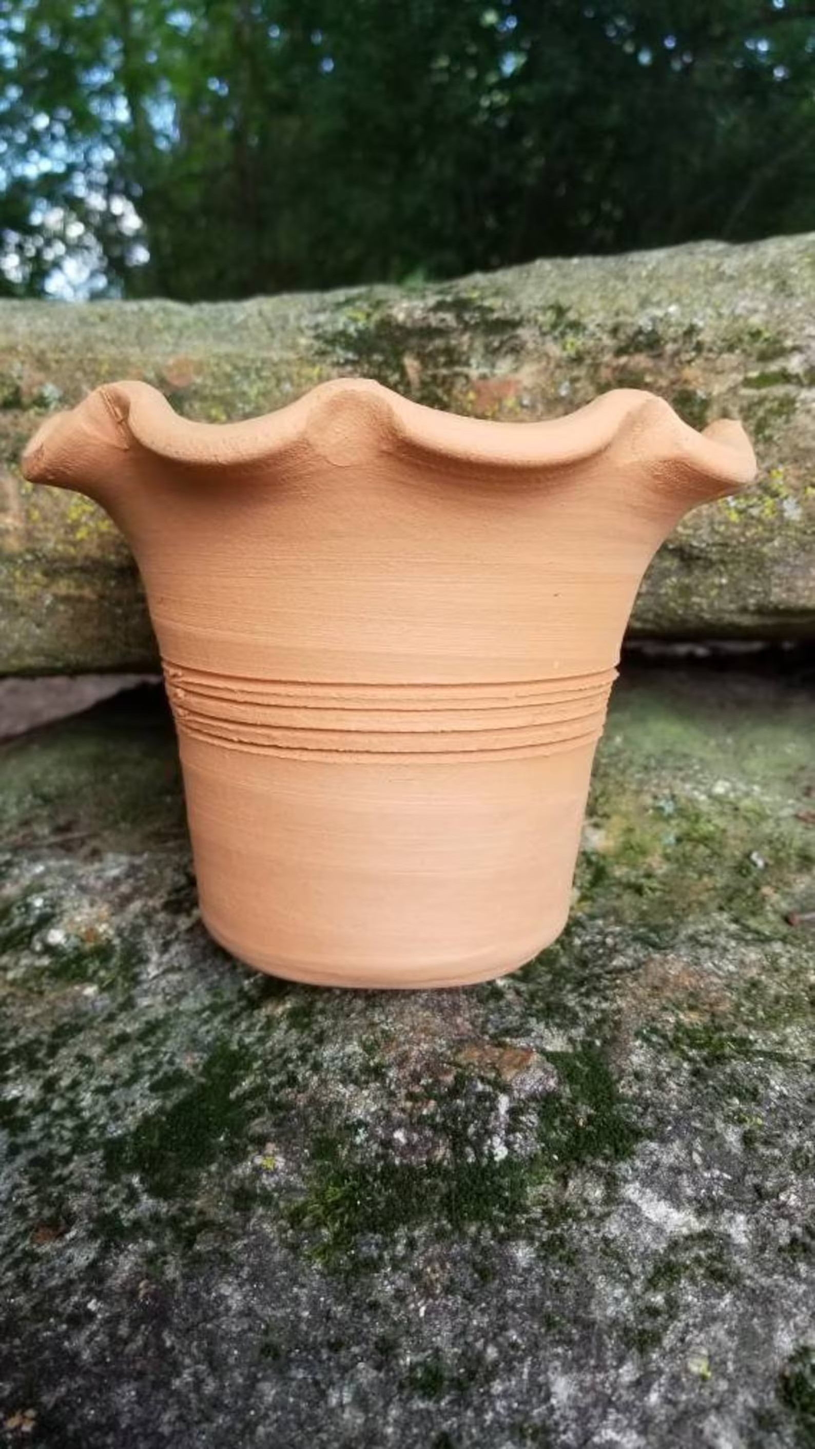 Craven Pottery Georgia Red Clay Small Terra Cotta Fluted Palm Pot Planter - Etsy | Etsy (US)