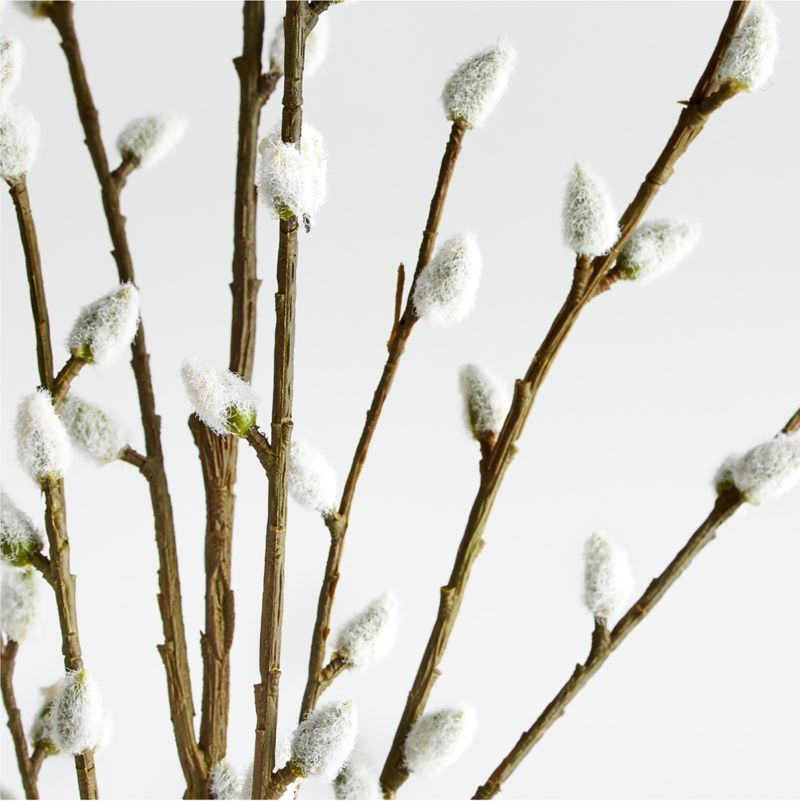 Artificial/Faux Pussy Willow Spray + Reviews | Crate and Barrel | Crate & Barrel