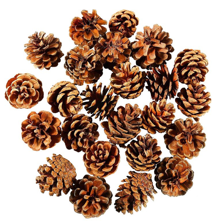 24 Pzas Christmas Pine Cones, Adornos para Árboles de Navidad, Mini Piñas Christmas Pine Cones a Granel, Adorno Colgante para Fiestas de Árboles de Navidad para Decoraciones de Fiestas en el Hogar | Walmart (US)