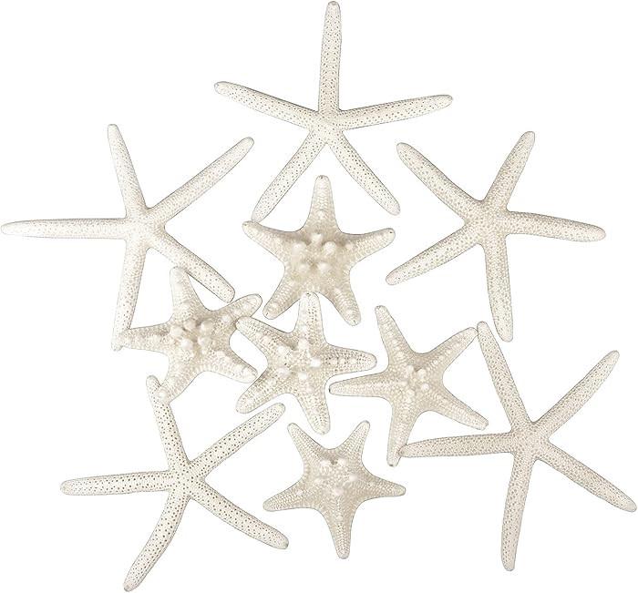 Jangostor 12 PCS Starfish 2-6 Inch Mixed Starfish Natural Seashells Starfish Star Fish Shells Dec... | Amazon (US)