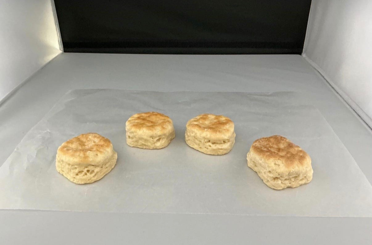 Faux biscuits for your fake food plate wall