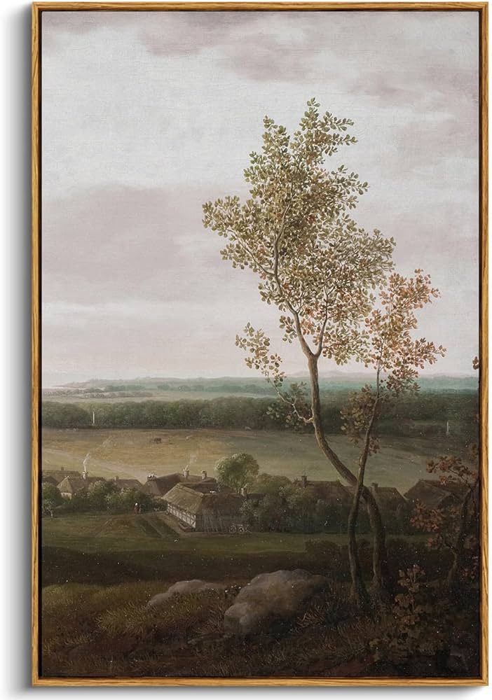 InSimSea | Amazon (US)