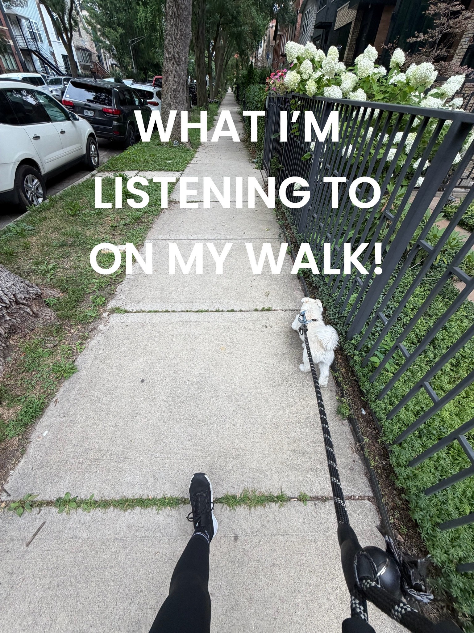 Current Audiobook: Villa Coco