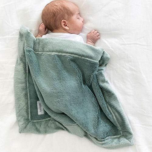 SARANONI Security Blankets for Babies Super Soft Boutique Quality Lush Luxury Baby Blanket (Mini ... | Amazon (US)