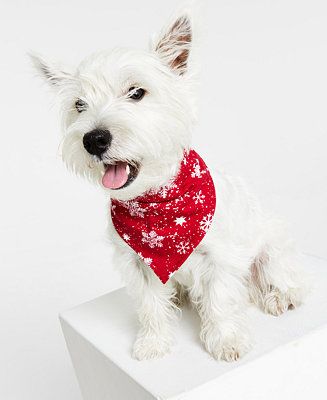 Family Pajamas Matching Pet Merry Snowflake Bandana, Created for Macy's & Reviews - Pet Accessori... | Macys (US)