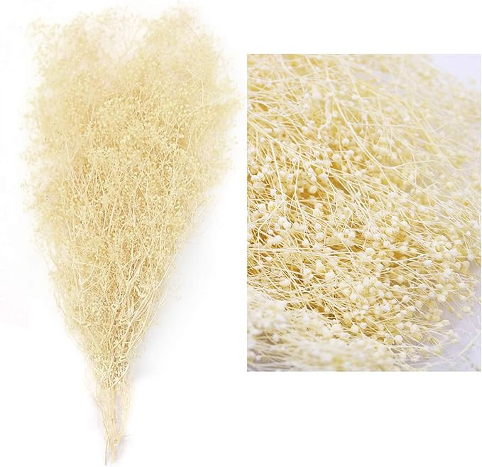 MIHUAGE Dried Gypsophila Flower Bundles Baby’s Breath 100% Natural for Wedding DIY Arrangements... | Amazon (US)