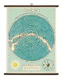 Cavallini Papers Cavallini Celestial Vintage School Chart | Amazon (US)