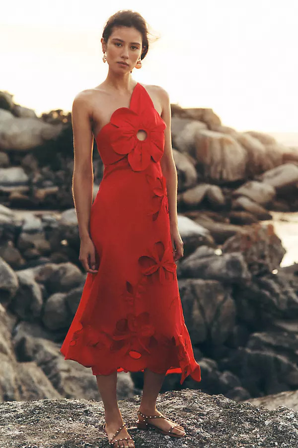 The Amara One-Shoulder Cutwork Midi Dress | Anthropologie (US)