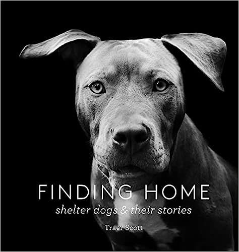 Finding Home: Shelter Dogs and Their Stories    Hardcover – September 22, 2015 | Amazon (US)