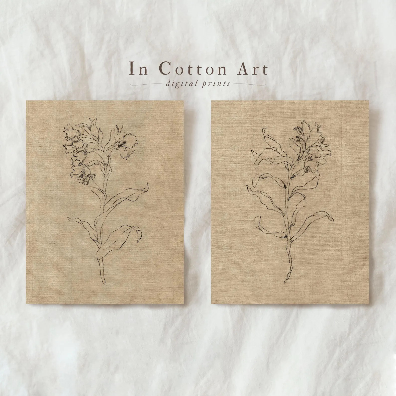 Botanical Flower Line Art Set of 2 Prints, Antique Floral Sketch Wall Decor, Vintage Style Minima... | Etsy (US)