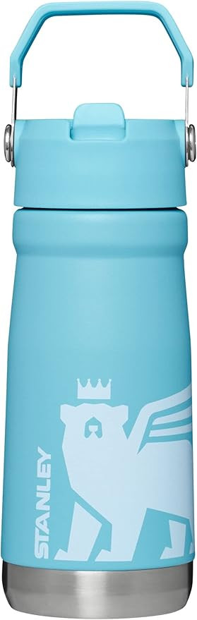 Stanley Classic IceFlow Flip Straw Water Bottle for Kids (8 or Above), 17oz, Stan the Bear Stainl... | Amazon (US)