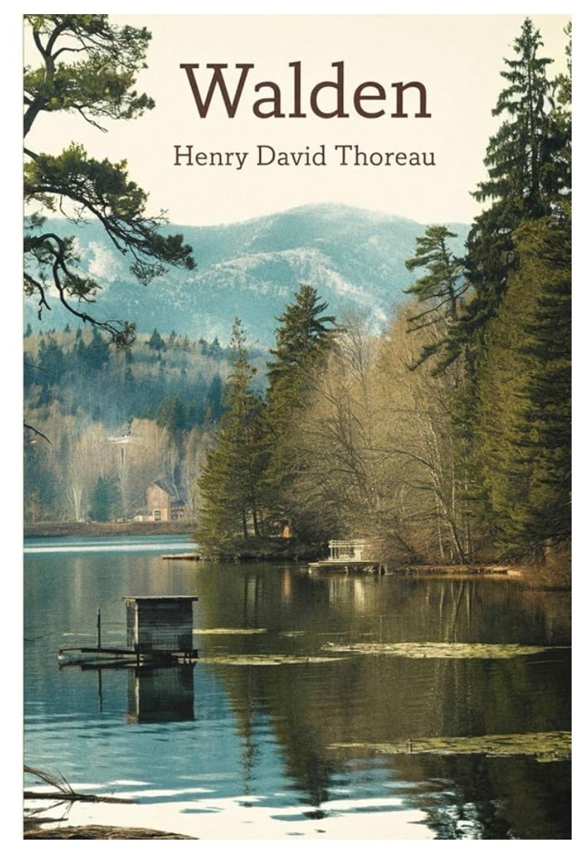 The next book on my list #reader #vacation #life

#LTKhome #LTKmidsize #LTKsale