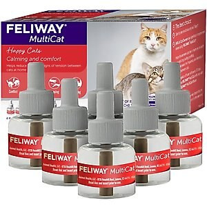 Feliway Multi-Cat Diffuser Refill, 6 count | Chewy.com