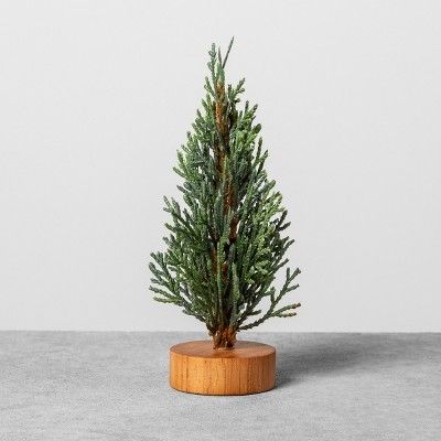 Mini Cedar Tree - Hearth & Hand™ with Magnolia | Target