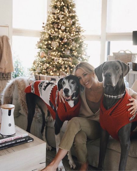 Holiday outfits inspo idea for your four legged friends! 🐶🎁 


#LTKfamily #LTKHoliday