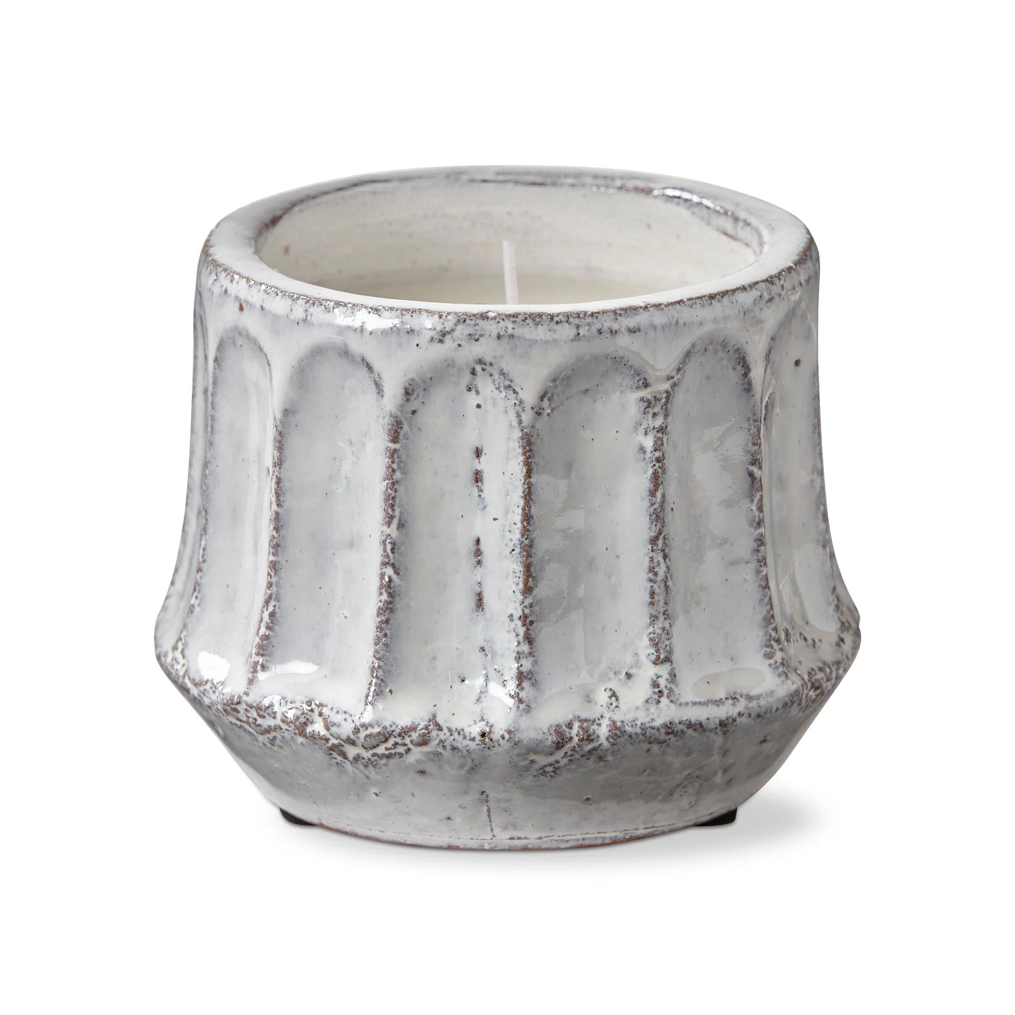 TAG Citronella Scented Novelty Candle with Tin Holder | Wayfair | Wayfair North America