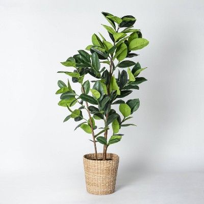 Artificial Rubber Leaf Tree in Pot Green - Threshold™ designed with Studio McGee | Target