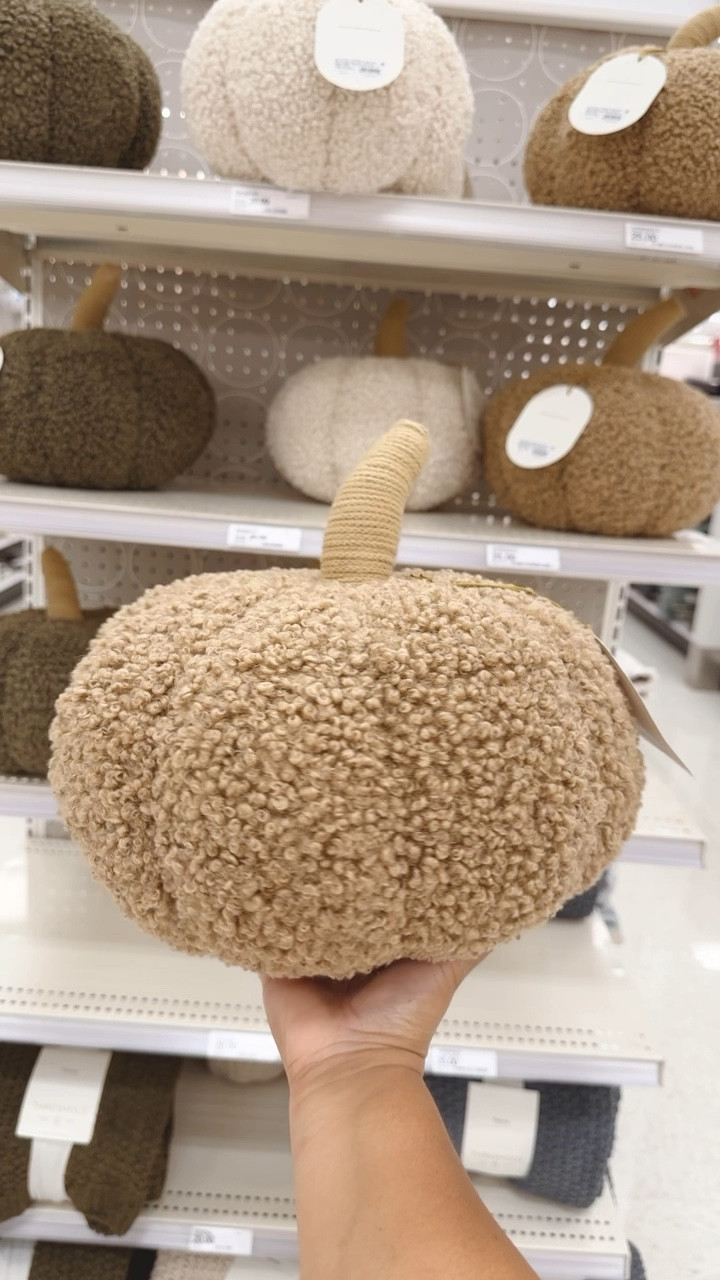This beautiful teddy boucle shaped pumpkin pillow are perfect 🤎🍁

#LTKSeasonal #LTKHome #LTKSaleAlert