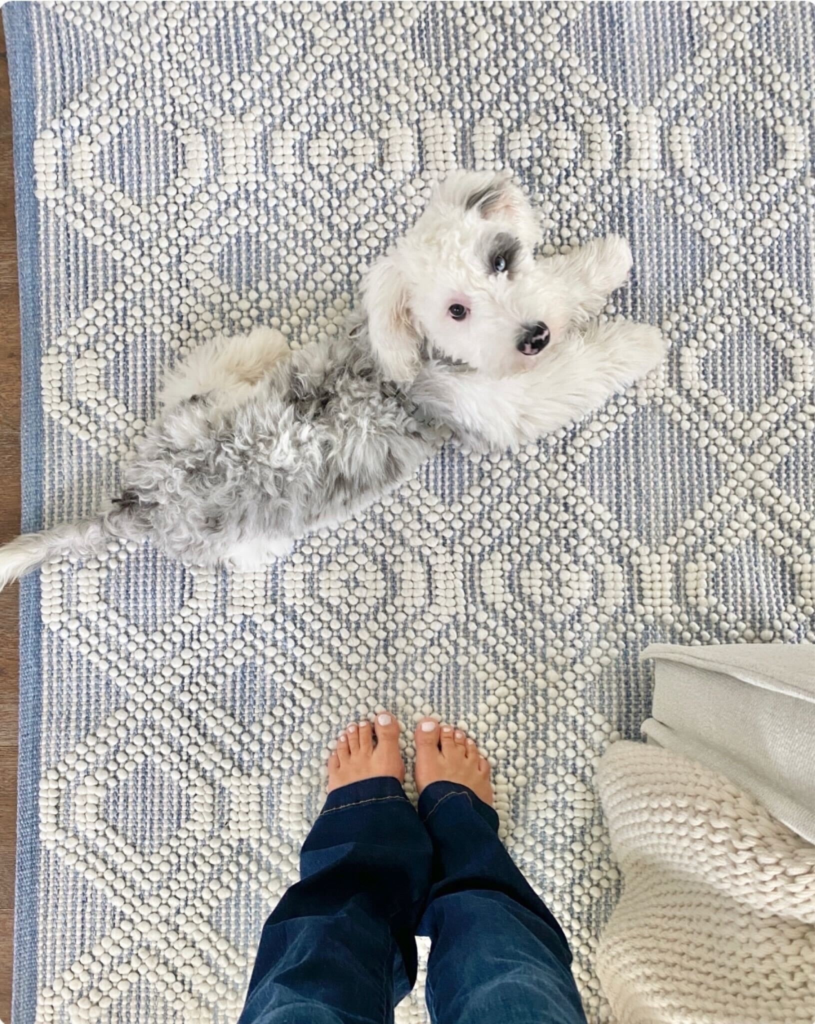 This rug and a few other items I grabbed for my most recent Reno project are linked below!

#LTKHome #LTKSaleAlert