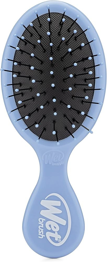 Wet Brush Detangling Brush, Mini Detangler Brush (Sky) - Wet & Dry Tangle-Free Hair Brush for Wom... | Amazon (US)