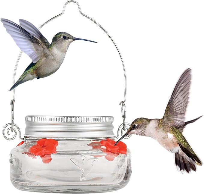 Nature's Way Bird Products MJF1 Nature's Way Mason Jar Hummingbird Dish Feeder, Clear | Amazon (US)