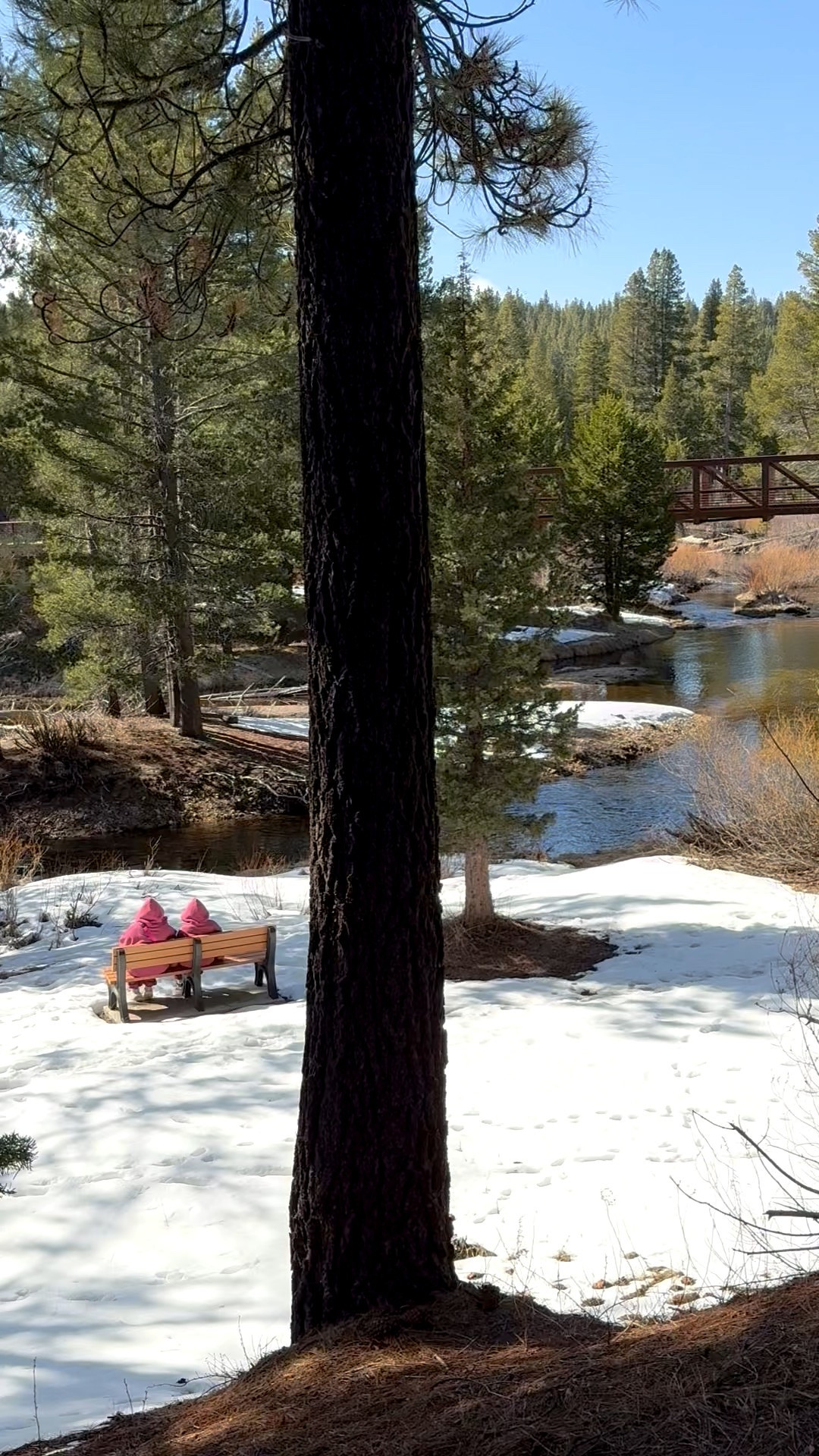 Minimalist Berry for adults and kids on sale 

#LTKSaleAlert #LTKSeasonal #LTKFallSale