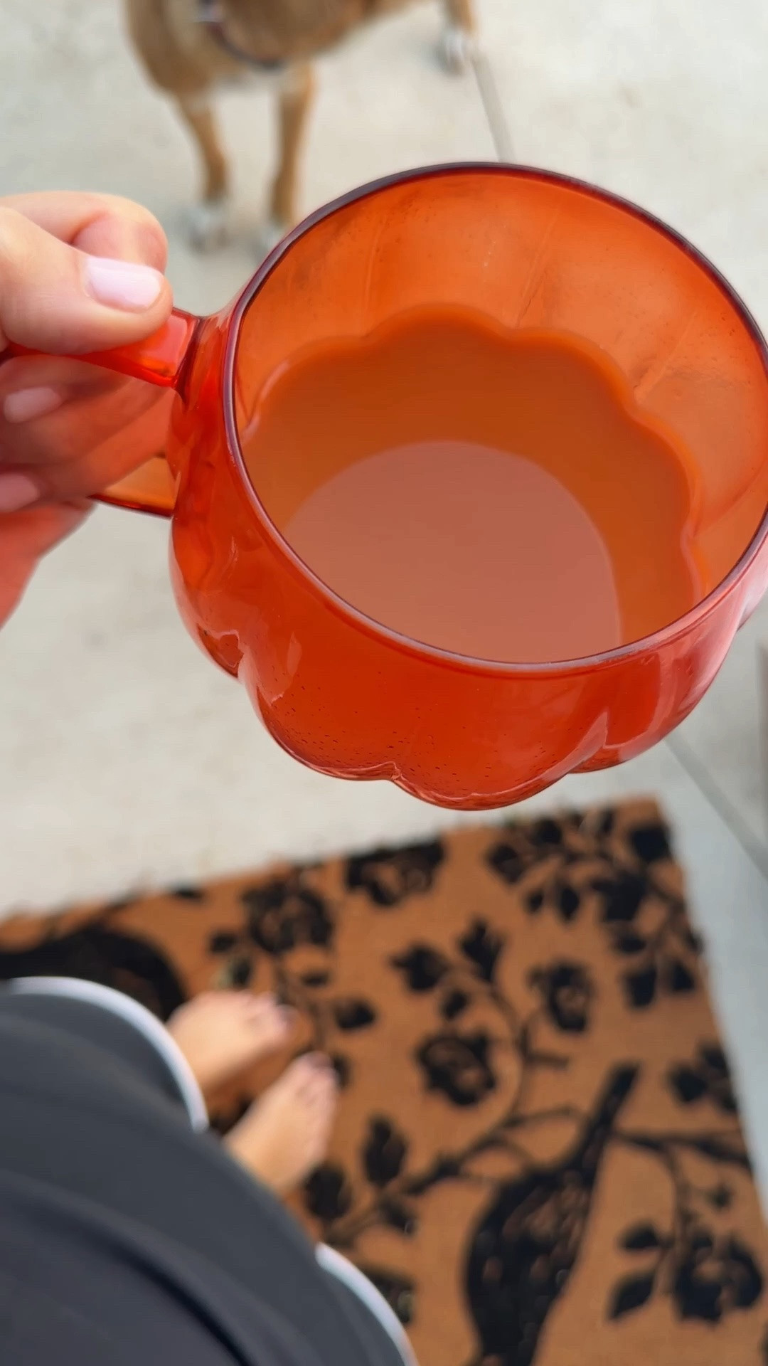 Morning coffee

#LTKOver40 #LTKHome