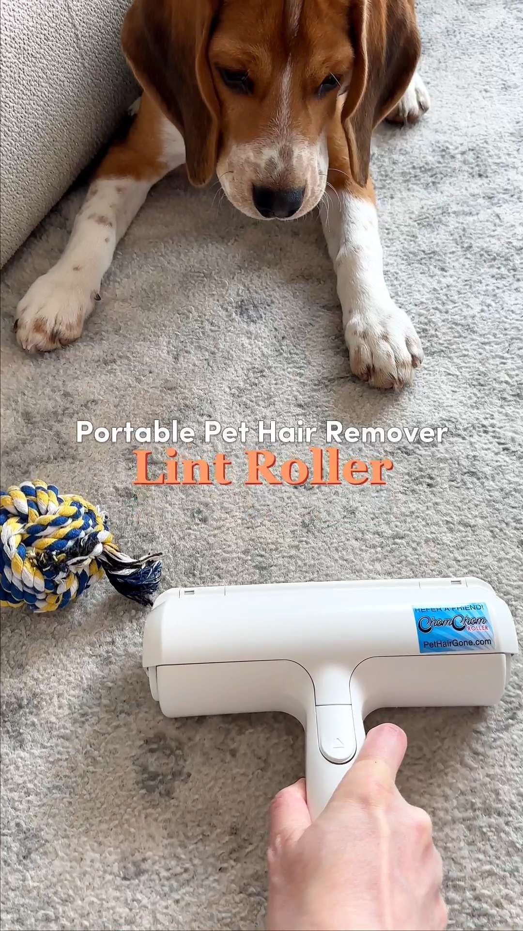 Finally, a tool that actually works on those stubborn fabrics 🐶 The Chom Chom Roller is the legendary, eco-friendly solution for pet owners everywhere. Great gift ideas for a new pet parent or the "neat freak" friend who loves their dog but hates the shedding! 🧹#ChomChomRoller #PetHairRemover #CleanHome #PetHacks #HomeCleaning #PetEssentials 

#LTKHome