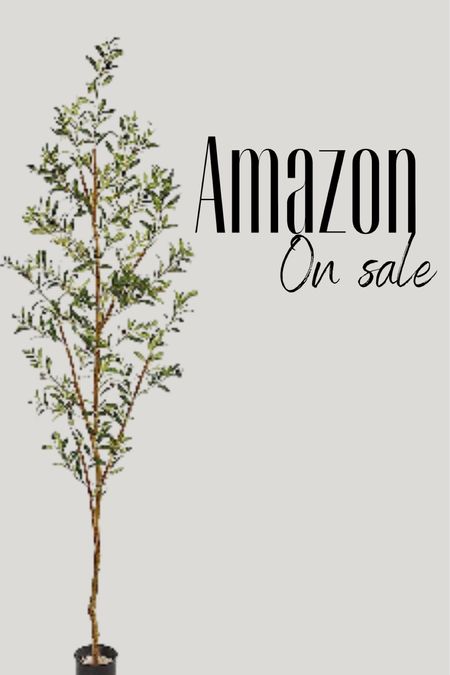 My favorite olive tree on sale | Amazon

#LTKsalealert #LTKFind #LTKxPrimeDay