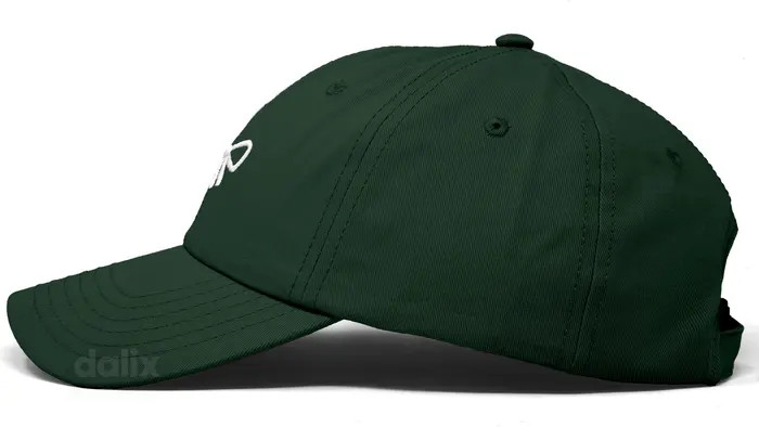 Dalix Bow Dad Cap | Nordstrom | Nordstrom