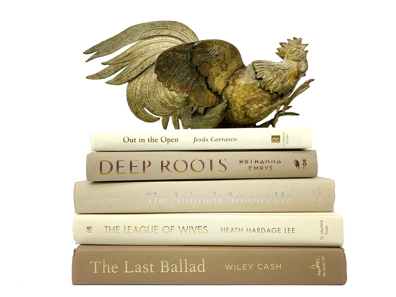 Bundle of Beige Ivory Tan Decorative Books  Staging Books | Etsy | Etsy (US)